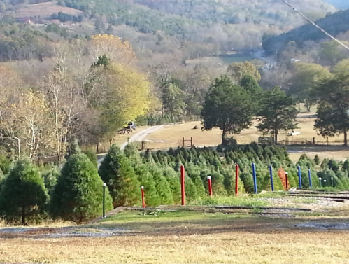 A scenic view of a landscape with evergreen trees, a winding path, and a river in the background, surrounded by hills.