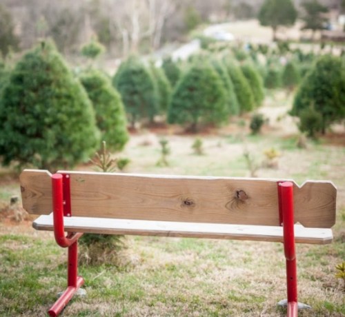 A wooden bench with red legs in a field surrounded by evergreen trees.