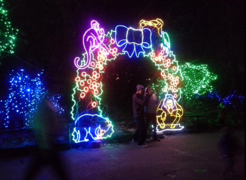A couple stands under a colorful, illuminated archway decorated with holiday lights and animal figures.