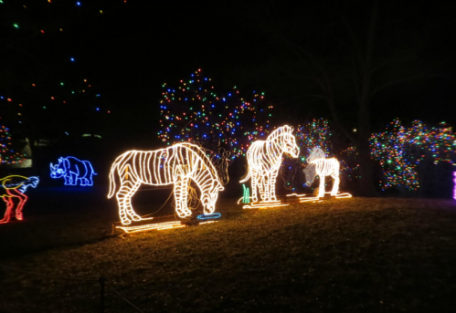 Colorful light displays of horses and other animals in a festive nighttime setting.