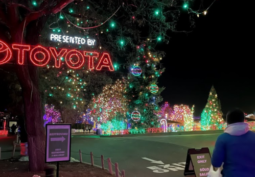 Colorful holiday lights adorn trees and signs at a festive nighttime event, with a person walking towards the exit.