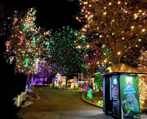 A festive pathway illuminated with colorful holiday lights and decorations, including candy canes and trees.