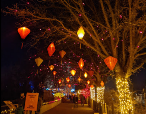 A festive pathway lined with trees adorned with red lanterns and colorful lights, creating a warm, inviting atmosphere.