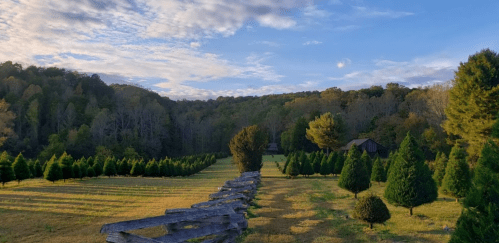 A scenic landscape featuring a wooden fence, evergreen trees, and rolling hills under a partly cloudy sky.