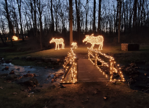 A wooden bridge lit with string lights, surrounded by illuminated animal figures in a wooded area at dusk.
