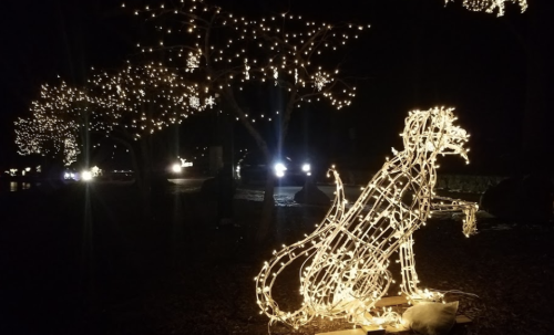 A glowing dog sculpture made of lights stands among trees adorned with twinkling holiday lights at night.