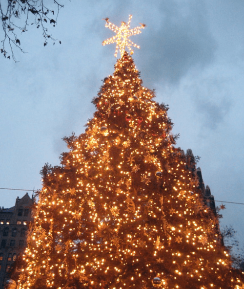 A brightly lit Christmas tree topped with a star, glowing against a cloudy evening sky.