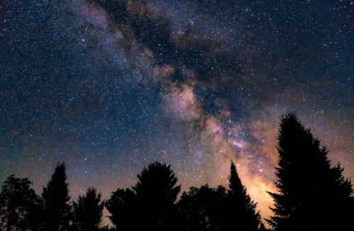 A starry night sky filled with the Milky Way, silhouetted by dark trees in the foreground.