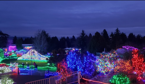 A colorful display of holiday lights illuminates a garden at dusk, with trees and pathways glowing in vibrant hues.