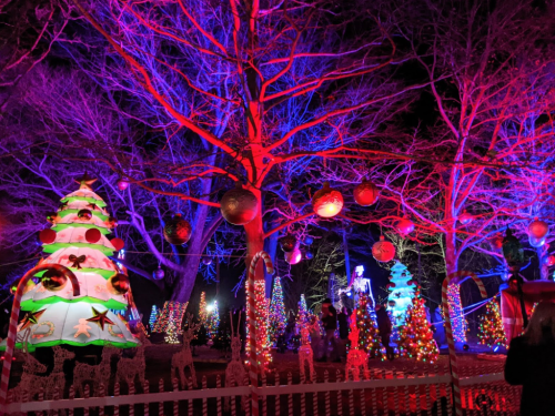 Colorful Christmas trees and decorations illuminated at night, with vibrant purple and red lights in a festive setting.