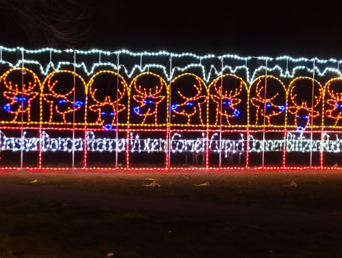 Colorful holiday lights display featuring reindeer and festive designs against a dark background.