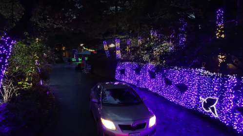 A car drives past a pathway illuminated with vibrant purple lights and festive decorations in a nighttime setting.