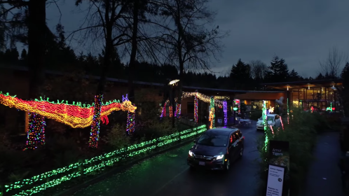 A festive display of colorful lights adorns trees and buildings along a road, creating a cheerful holiday atmosphere.