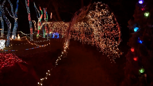 A pathway illuminated by colorful holiday lights, creating a festive and enchanting atmosphere.
