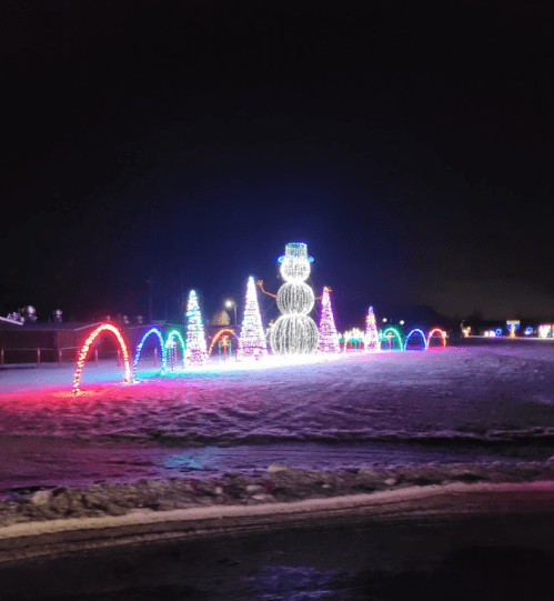 Colorful holiday lights illuminate a snowman and trees in a festive display at night.