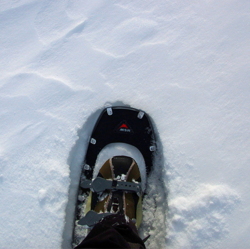A close-up of a snowshoe on a snowy surface, with footprints visible in the fresh snow.