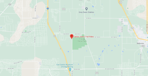 Map showing the location of Cactus Jack's Trail Rides near Belleview, Florida, with nearby landmarks and roads.