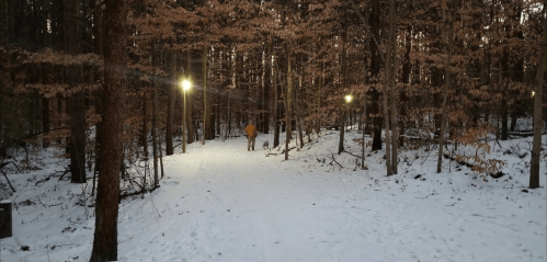 A person walks along a snowy path in a forest, illuminated by soft lights among trees with autumn leaves.