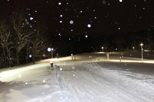 A snowy landscape at night, with falling snowflakes and faintly lit paths through a winter scene.