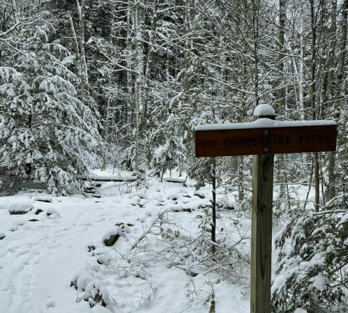 A snowy forest path with a wooden sign pointing to "Thundering Falls" amidst trees covered in snow.