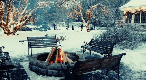A cozy fire pit surrounded by benches in a snowy park, with trees adorned in lights and people enjoying the winter scene.