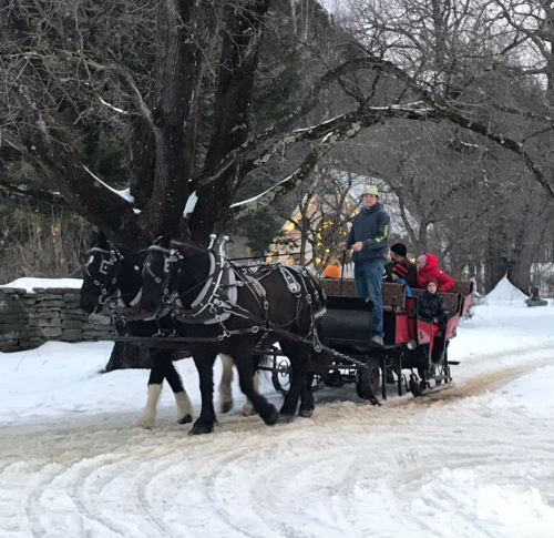 A horse-drawn sleigh carries passengers through a snowy landscape, surrounded by trees and a cozy atmosphere.
