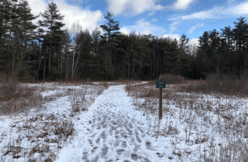 A snowy path leads through a forested area with tall trees and a sign indicating a trail.