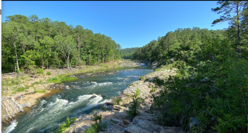 A serene river flows through a lush green forest under a clear blue sky, with rocky banks and gentle rapids.