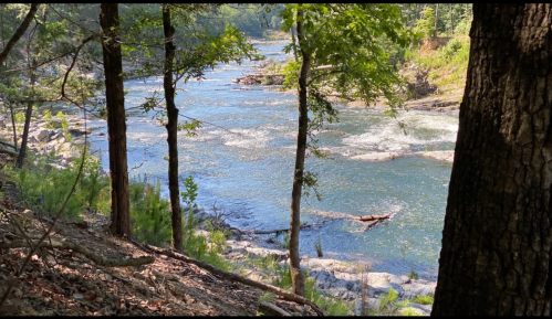 A serene river flows through a wooded area, surrounded by trees and rocky banks under a clear blue sky.