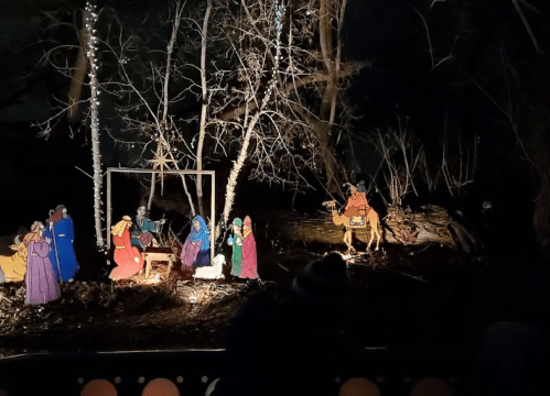 A nighttime scene with illuminated figures depicting a nativity scene among trees.