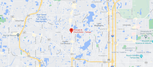 Map showing the location of Hiccups & Churroholic in Tampa, Florida, near various landmarks and roads.