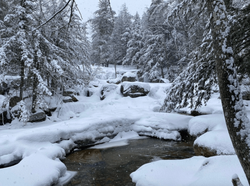 A serene winter landscape with snow-covered trees and a gently flowing stream surrounded by rocks.