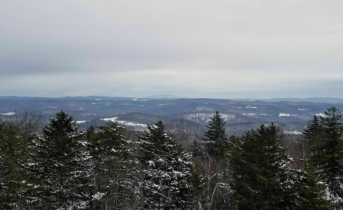 A winter landscape featuring snow-covered trees and distant mountains under a cloudy sky.