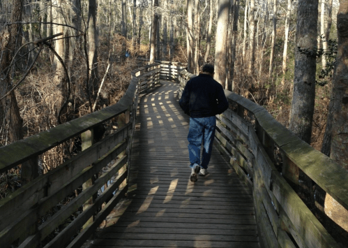 A person walks along a wooden boardwalk through a wooded area, surrounded by trees and natural scenery.