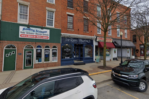 A street view of a brick building with shops, including "The Rustic Bluebird" and "China Garden," parked cars in front.
