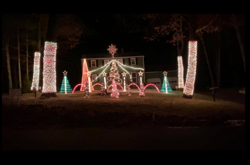 A house decorated with colorful Christmas lights, featuring trees, stars, and a large illuminated Christmas tree.