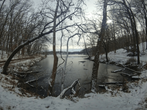 A serene winter landscape featuring a frozen lake surrounded by snow-covered trees and a cloudy sky.