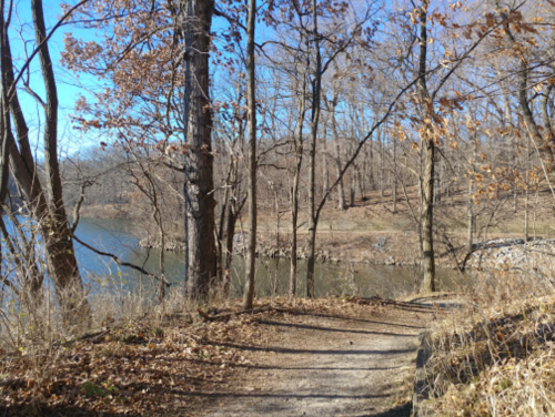 A serene lakeside path surrounded by bare trees and a clear blue sky, reflecting autumn's quiet beauty.