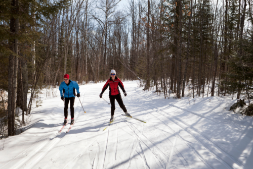 Two skiers glide along a snowy trail in a forest, surrounded by tall trees and clear blue skies.