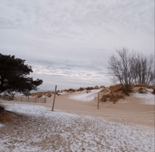 A winter beach scene with snow-covered sand, sparse trees, and a cloudy sky in the background.