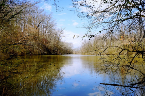 A serene river scene surrounded by trees, reflecting the blue sky and clouds on calm water.