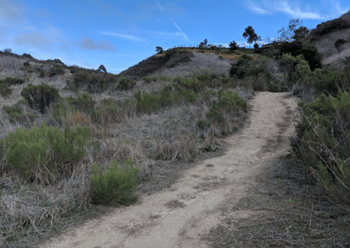 A dirt path winds through dry, grassy hills under a blue sky with a few clouds.