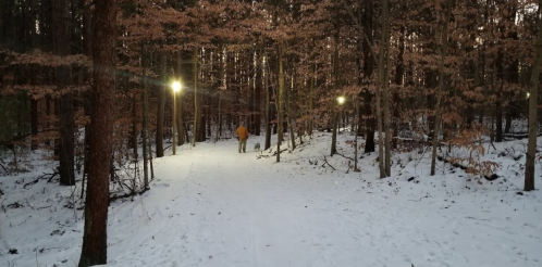 A person walks along a snowy path in a forest, illuminated by soft lights among bare trees.