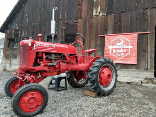 A red Farmall Cub tractor parked in front of a rustic barn with a Reindeer Farm sign.
