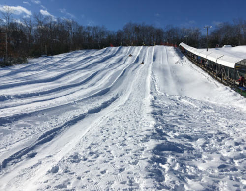 A snowy hill with smooth, winding tracks for sledding, surrounded by trees and a covered seating area.