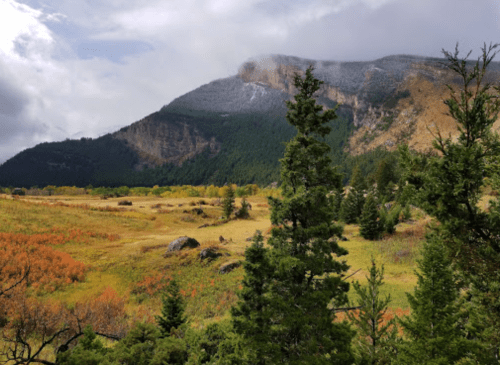 A scenic view of a mountainous landscape with colorful autumn foliage and evergreen trees under a cloudy sky.