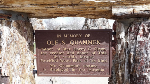 Sign commemorating Ole S. Quammen, creator of the world's largest Petrified Wood Park, displayed on a stone structure.