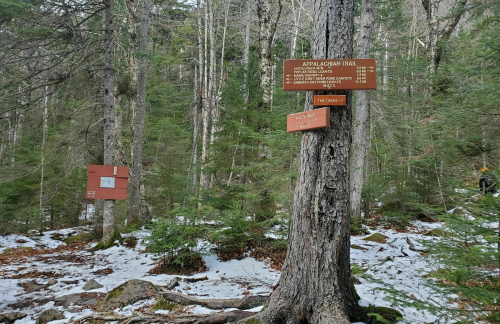 Trail signs for the Appalachian Trail in a snowy forest, with trees and underbrush visible.