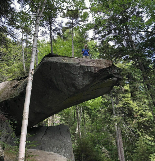 A person stands on a large rock ledge surrounded by tall trees in a lush forest.