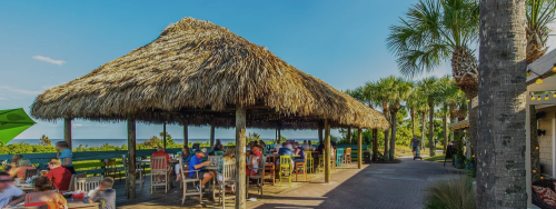 A tropical outdoor bar with a thatched roof, surrounded by palm trees and patrons enjoying drinks in a sunny setting.
